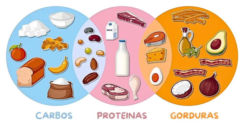 Alimentos da genética influencia na musculação