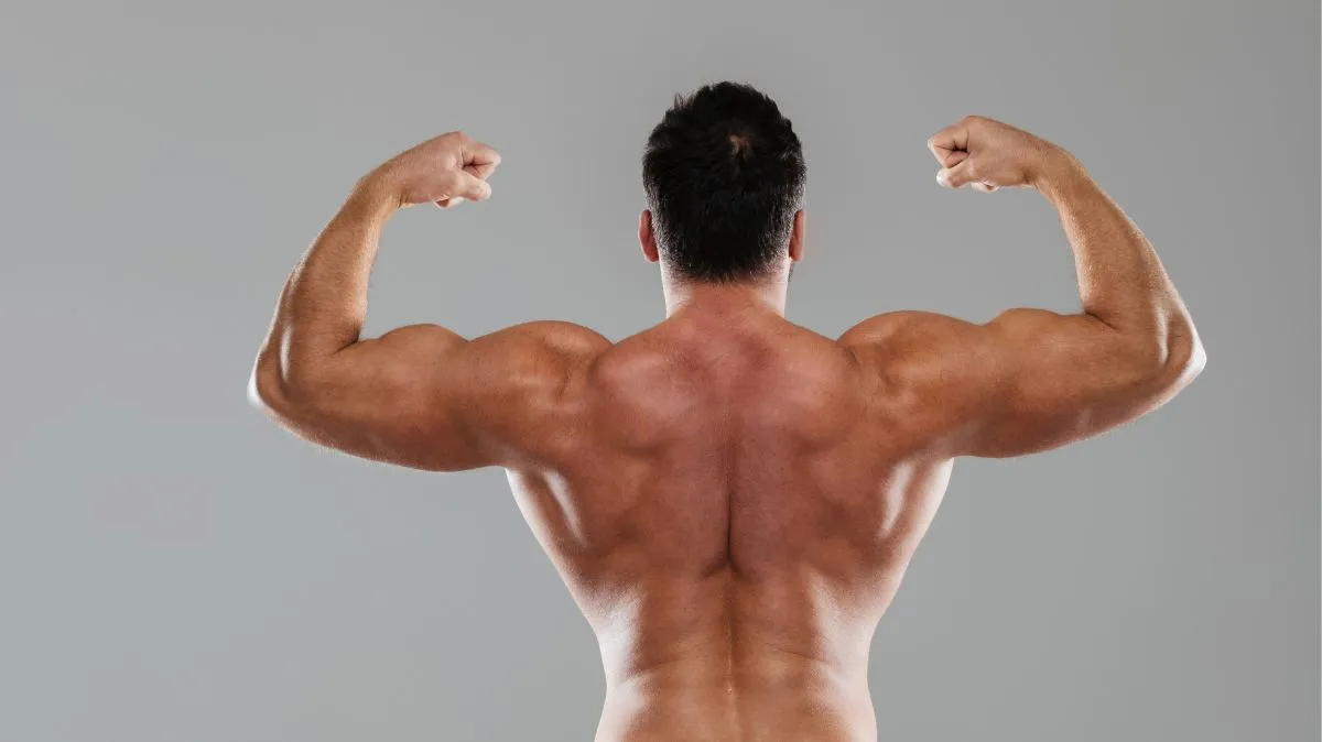 5 Exercícios Para Costas: Treino Completo Para Hipertrofia
