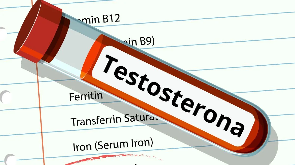 Musculação Aumenta Testosterona? Tudo Que Você Precisa Saber